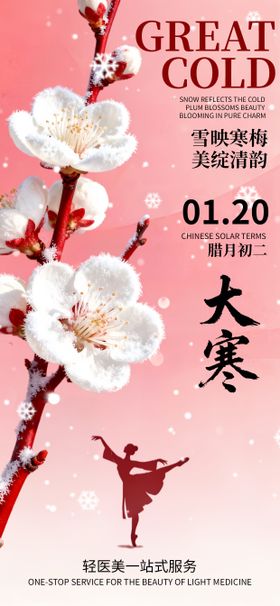 大寒节气梅花国风唯美海报