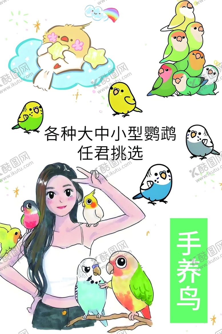 编号：23920910051354188735【酷图网】源文件下载-多样鹦鹉伴您生活