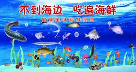 海底边挖宝遇海洋生物