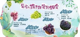 葡萄提子异形吊牌