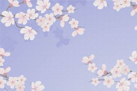 手绘樱花