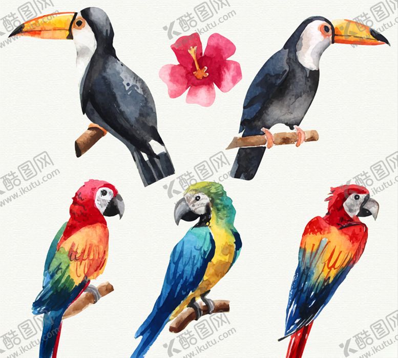 编号：96858806250828457010【酷图网】源文件下载-水彩绘鸟类设计矢量素材