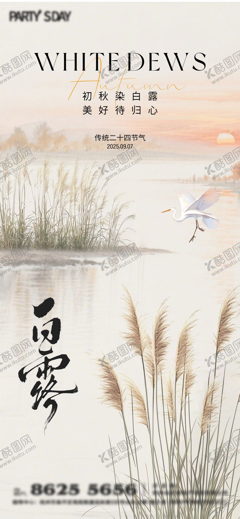 编号：72763610180404357284【酷图网】源文件下载-白露海报