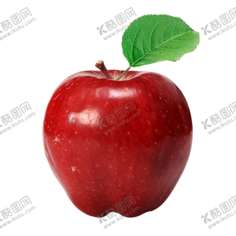 编号：73071507141022269822【酷图网】源文件下载-水果