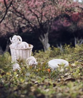 摄影背景墙