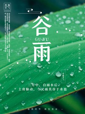 大气简约节日谷雨海报