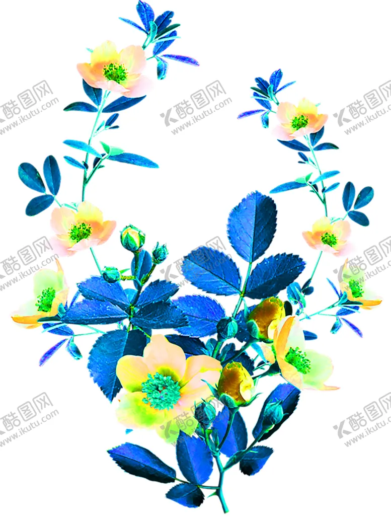 编号：25529706170829591282【酷图网】源文件下载-花素材