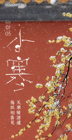小寒节气海报喜庆二十四