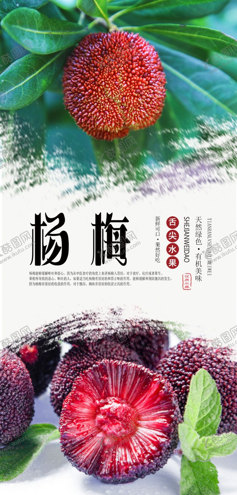 编号：72025309190750421833【酷图网】源文件下载-杨梅水果分层海报
