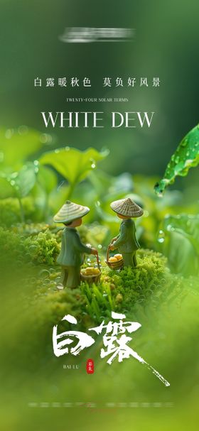 白露节气海报
