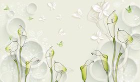 浮雕花马蹄莲背景墙