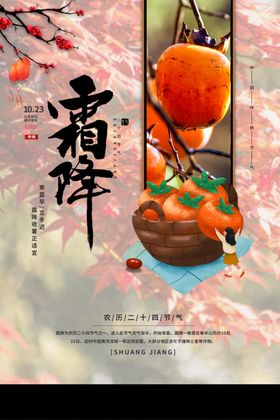 柿子  吉祥果 柿树  