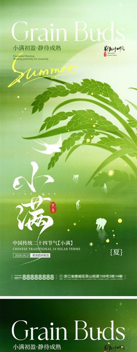 小满节气宣传海报