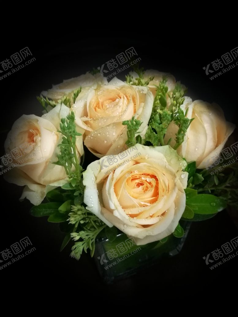 编号：88601806240442099838【酷图网】源文件下载-香槟玫瑰花