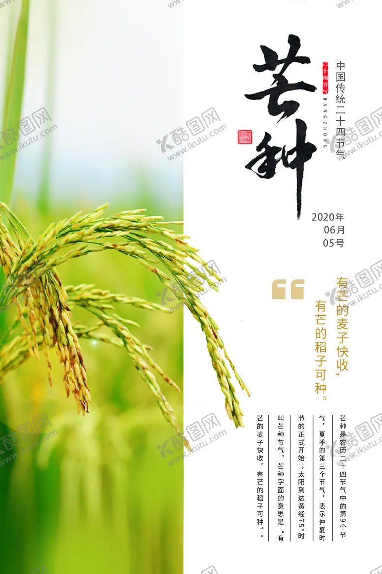 编号：49234706270602108588【酷图网】源文件下载-芒种