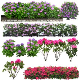 鲜花花卉绿植红花绿叶