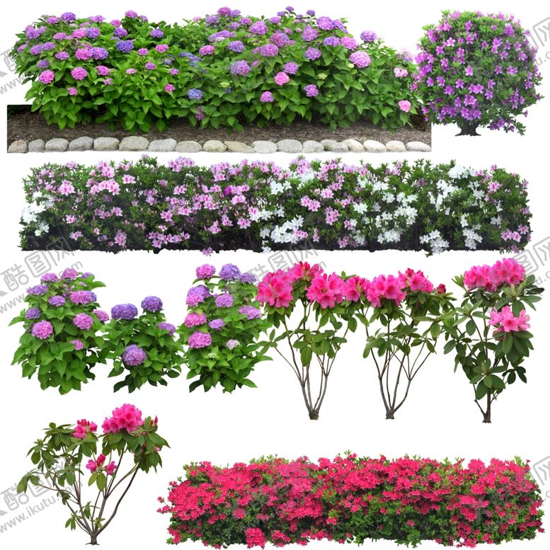 编号：94949910311210542151【酷图网】源文件下载-鲜花花卉绿植红花绿叶