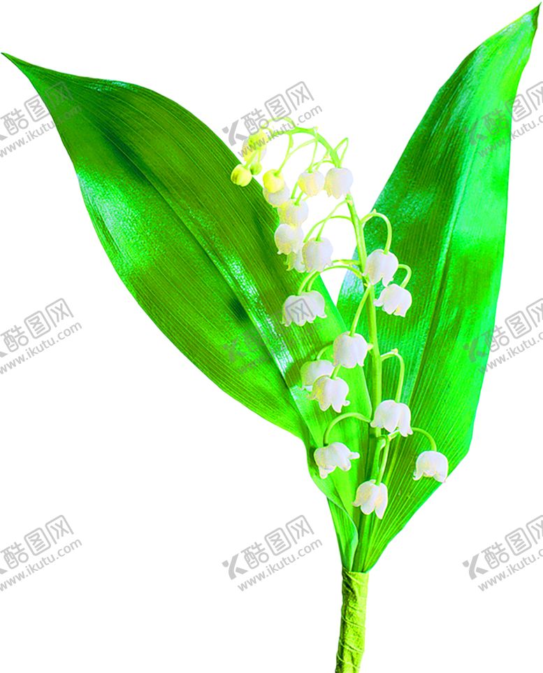 编号：40486409210857399915【酷图网】源文件下载-浪漫素材