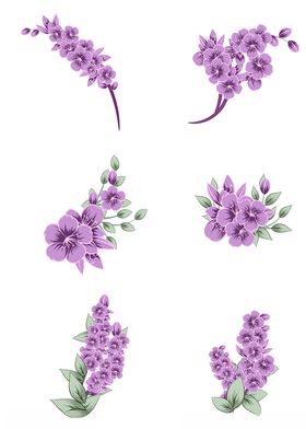 水彩风淡紫色花朵果实矢量图