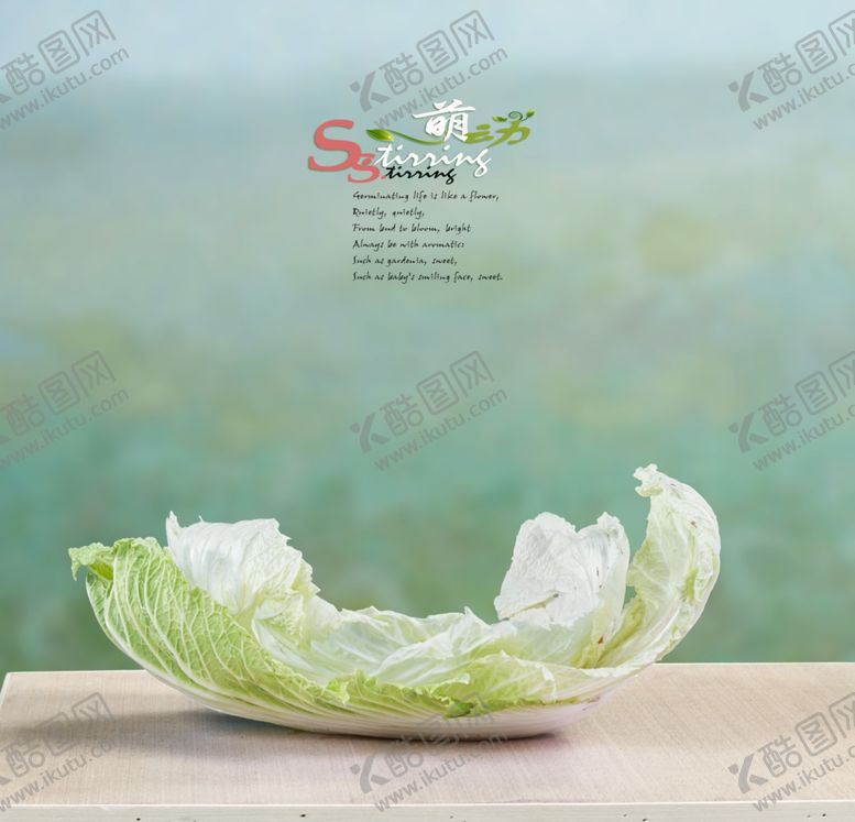 编号：72112811011710251024【酷图网】源文件下载-影楼摄影