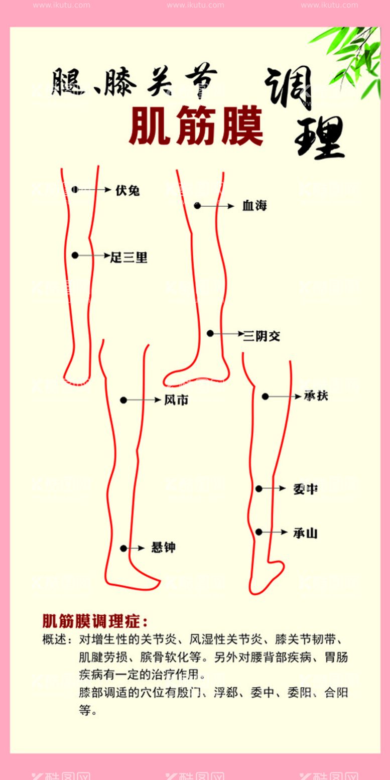 编号：24815910090905209670【酷图网】源文件下载-腿膝关节肌筋膜调理