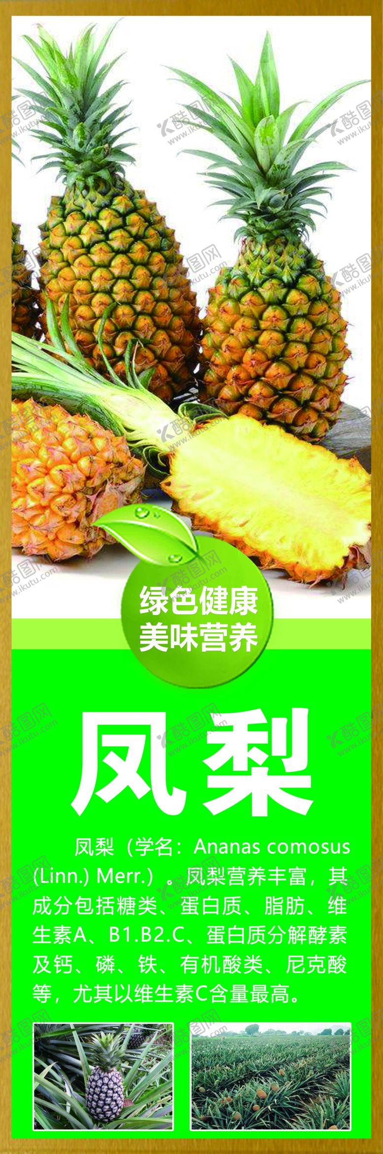 编号：27003610050453356147【酷图网】源文件下载-凤梨