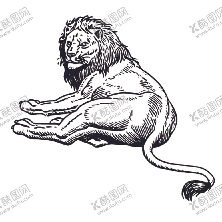 编号：35417810121603419546【酷图网】源文件下载-野生狮子绘画