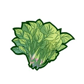 菠菜