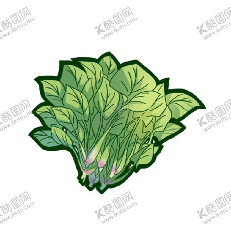 编号：67299106282329534114【酷图网】源文件下载-菠菜