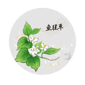 编号：51874609231055348027【酷图网】源文件下载-鱼腥草