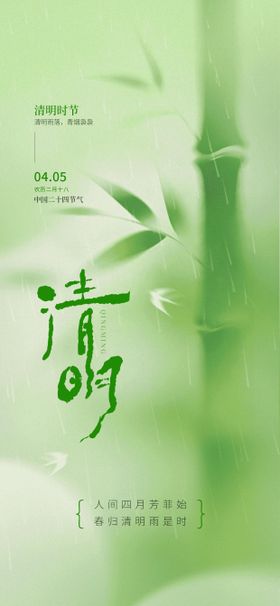 简约清明节气海报