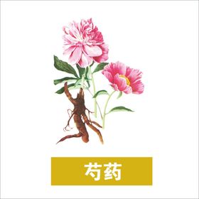 芍药免扣