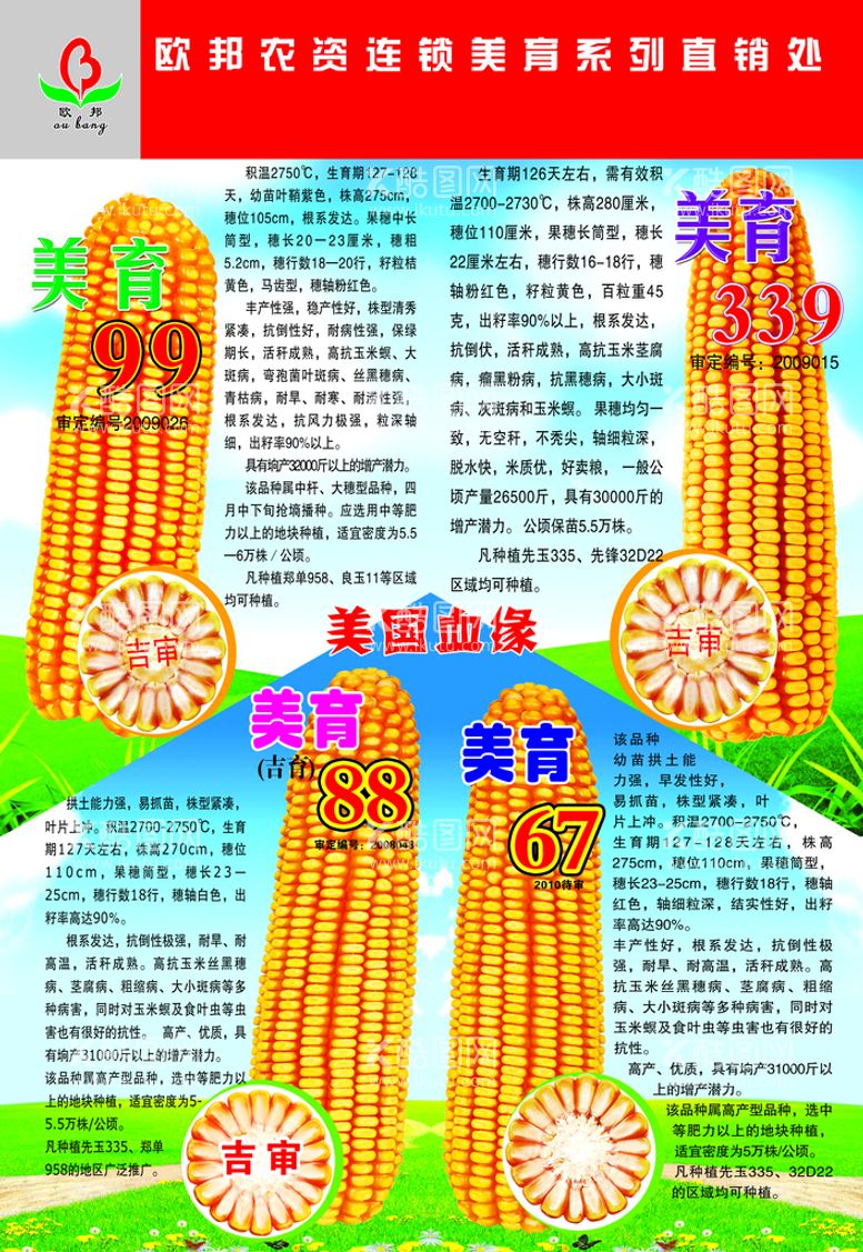 编号：65403909171409464260【酷图网】源文件下载-玉米大画