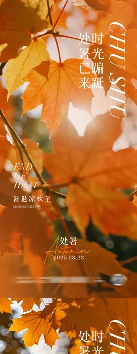 简约摄影图节气处暑海报