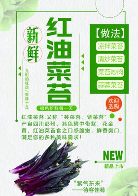 红油菜苔