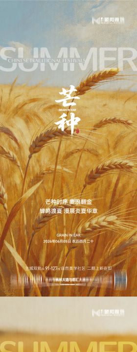 芒种二十四节气节日海报麦芒麦田