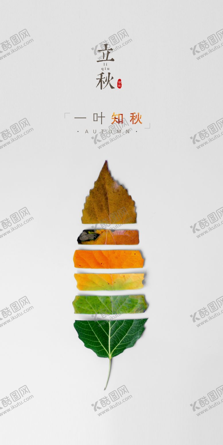 编号：66587402180622259522【酷图网】源文件下载-立秋海报设计