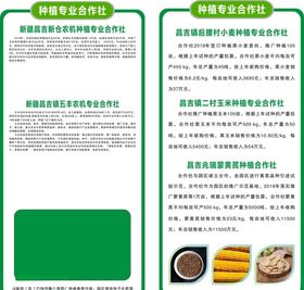 立体墙