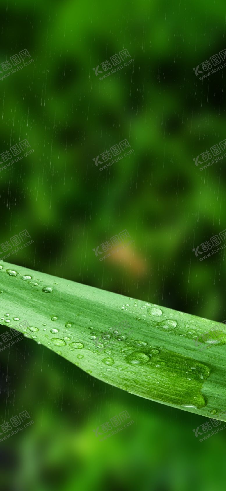 编号：88136310130901146125【酷图网】源文件下载-谷雨微信