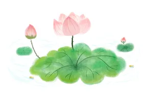 手绘荷花激情盛夏夏天素材清凉一夏海报