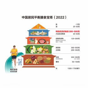 中国居民平衡膳食餐盘