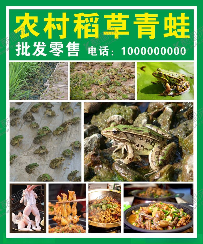 编号：94385601312306122286【酷图网】源文件下载-稻草青蛙