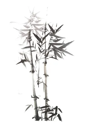 竹子素材背景元