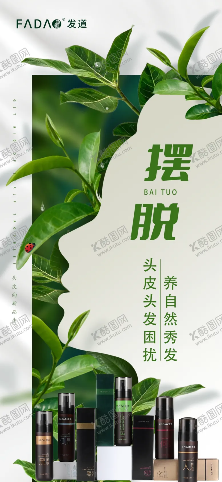 编号：35350801260036212290【酷图网】源文件下载-摆脱头皮头发困扰