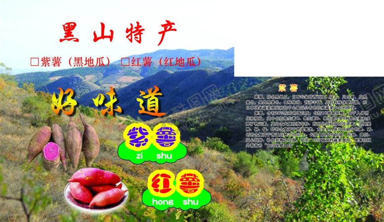 编号：59698310211325593889【酷图网】源文件下载-紫薯红薯蜜薯地瓜包装