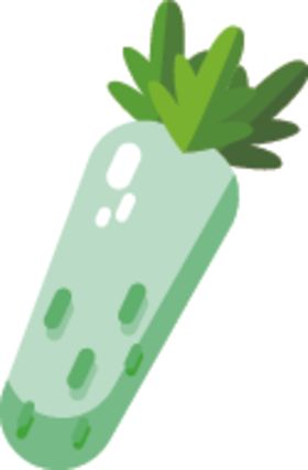 白萝卜
