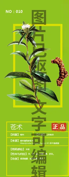 北苍术