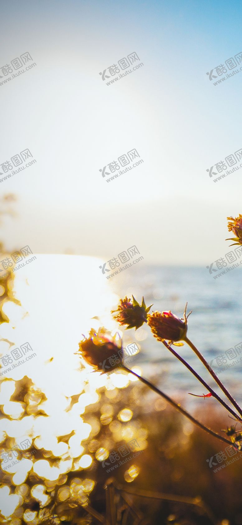 编号：94984410152310117244【酷图网】源文件下载-手机壁纸