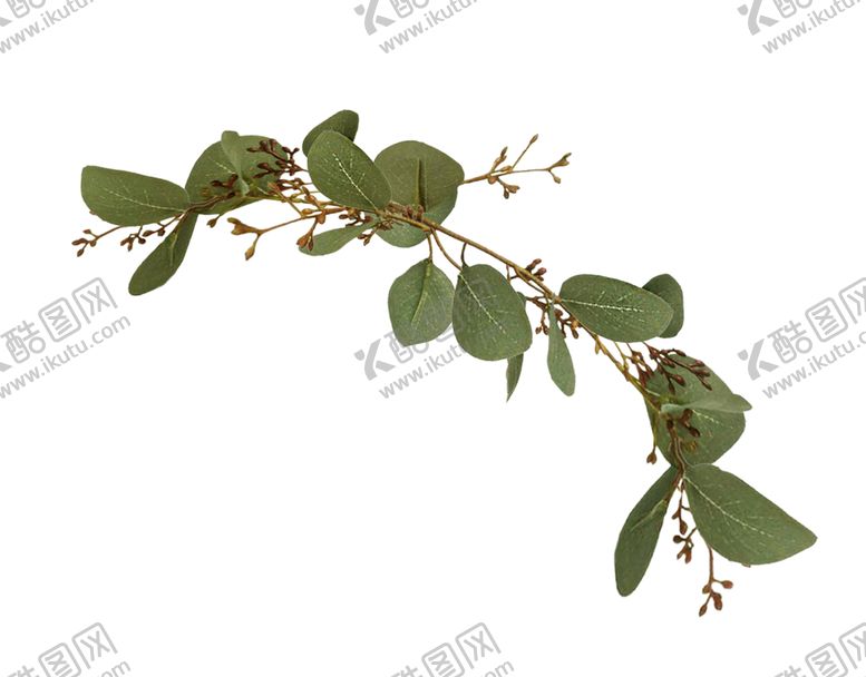 编号：97904409281528171991【酷图网】源文件下载-叶子