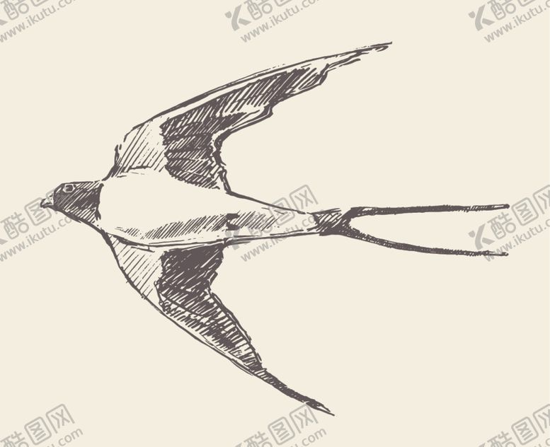 编号：67810809230822039546【酷图网】源文件下载-手绘鸟禽